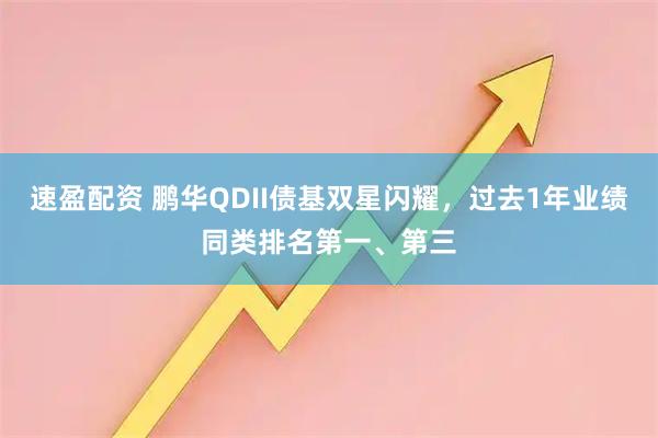 速盈配资 鹏华QDII债基双星闪耀，过去1年业绩同类排名第一、第三