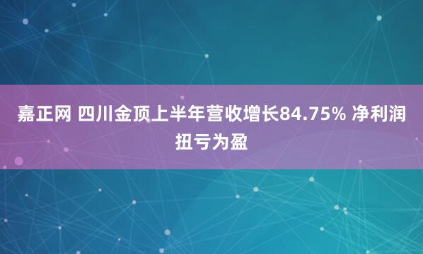 嘉正网 四川金顶上半年营收增长84.75% 净利润扭亏为盈