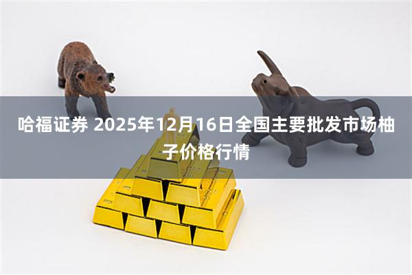 哈福证券 2025年12月16日全国主要批发市场柚子价格行情