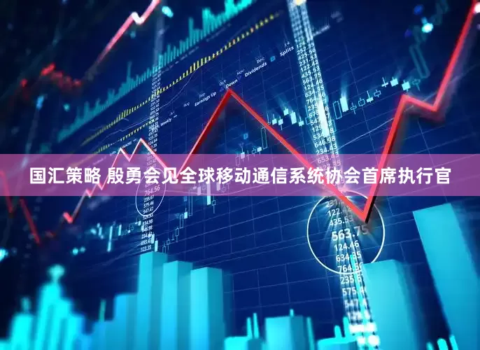 国汇策略 殷勇会见全球移动通信系统协会首席执行官